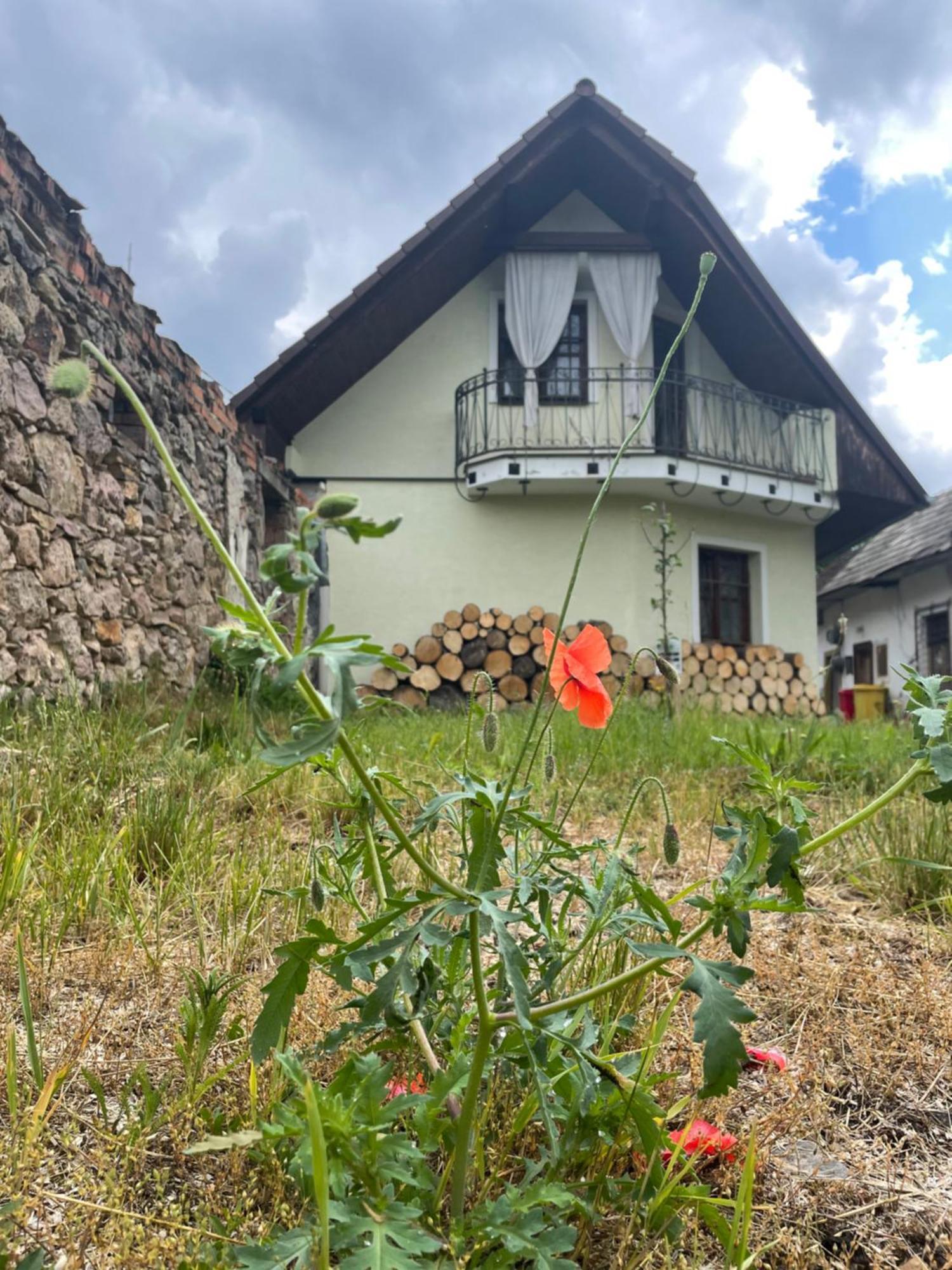 Chalupa V Hliniku Hlinik nad Hronom Buitenkant foto